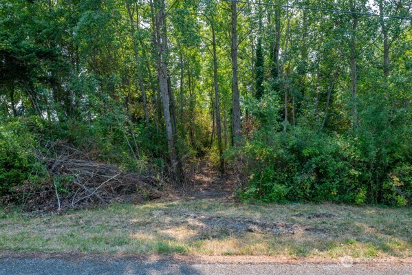 0 Xxx Stephen Street Property Photo 11