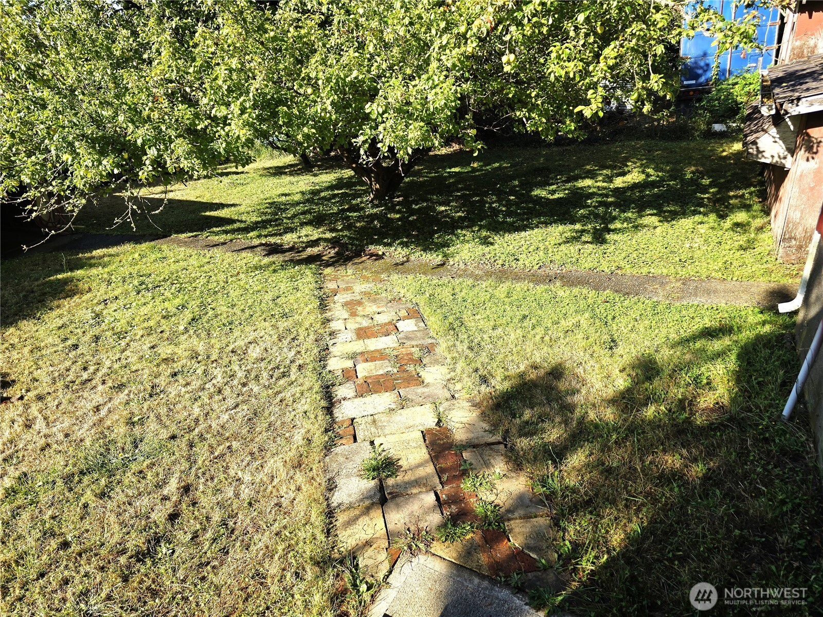 508 Cedar Street Property Photo 34