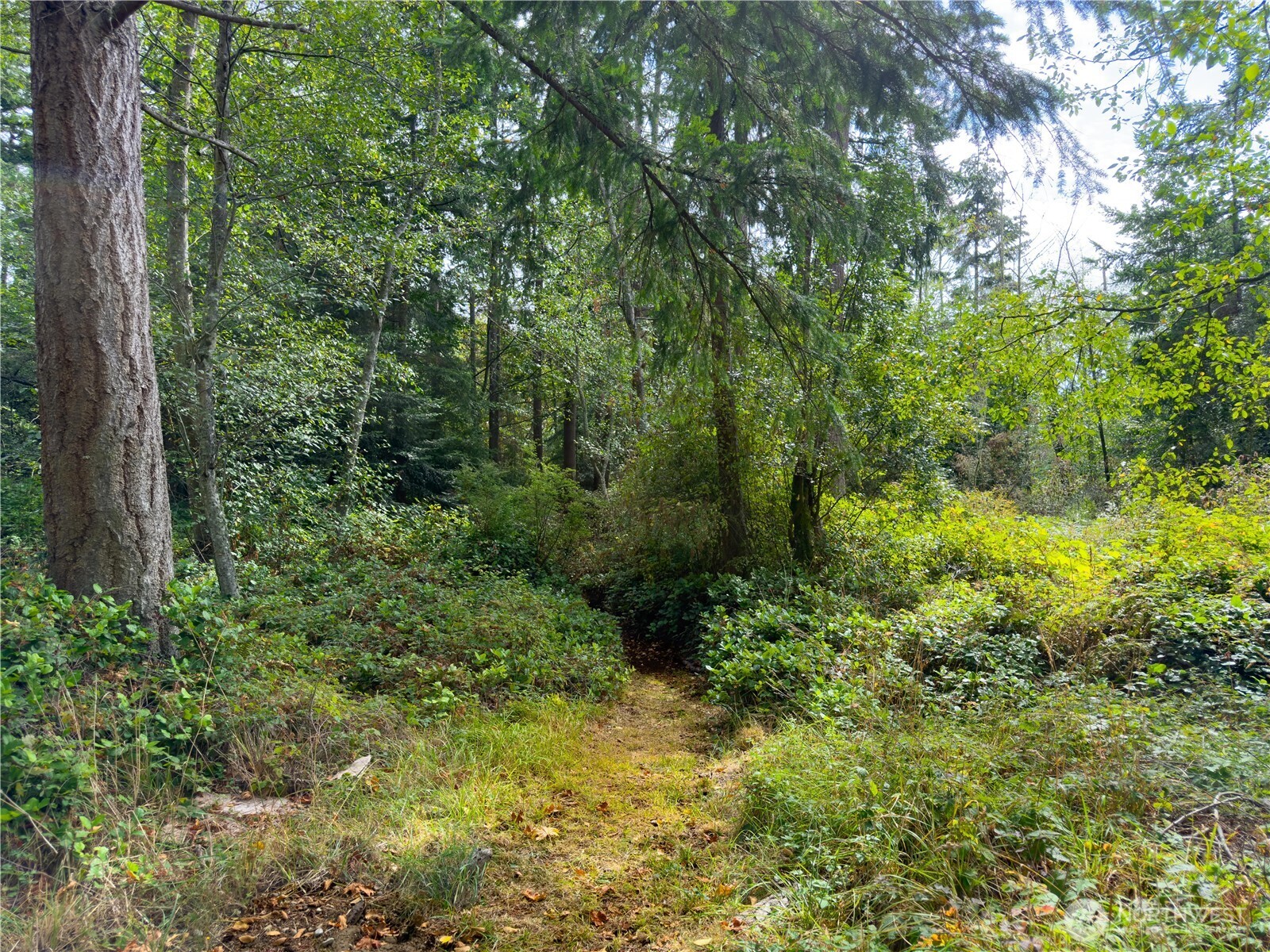 2197 Parker Road Property Photo 37