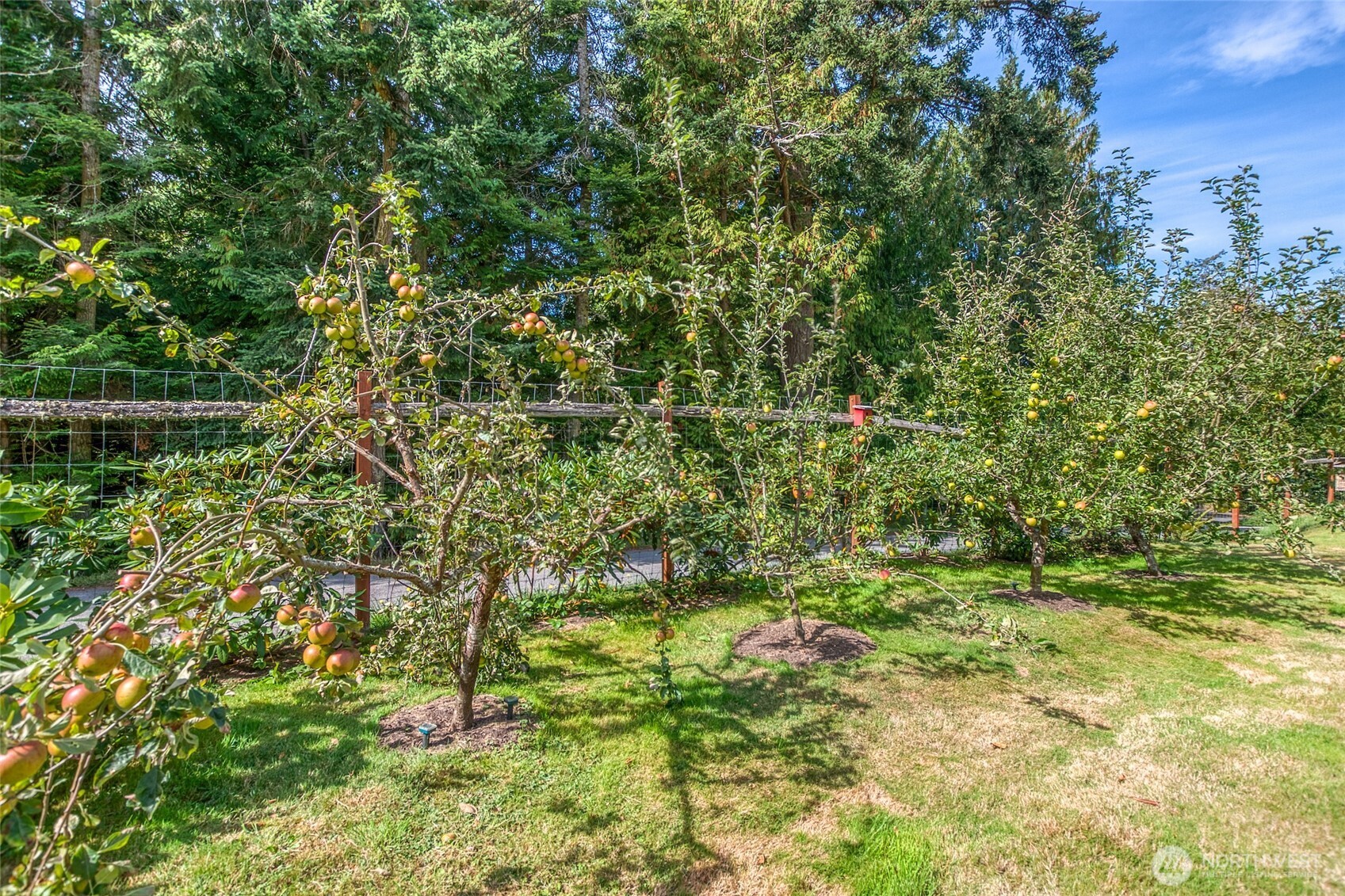 2822 Enchanted Forest Road Property Photo 22