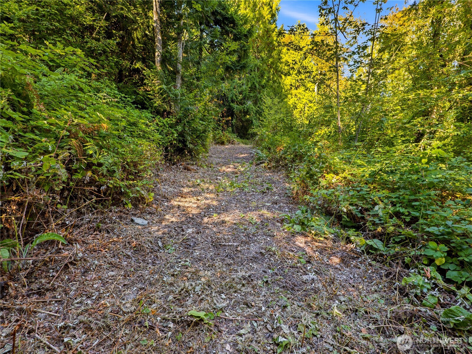 11912 53rd Street Ct Property Photo 8