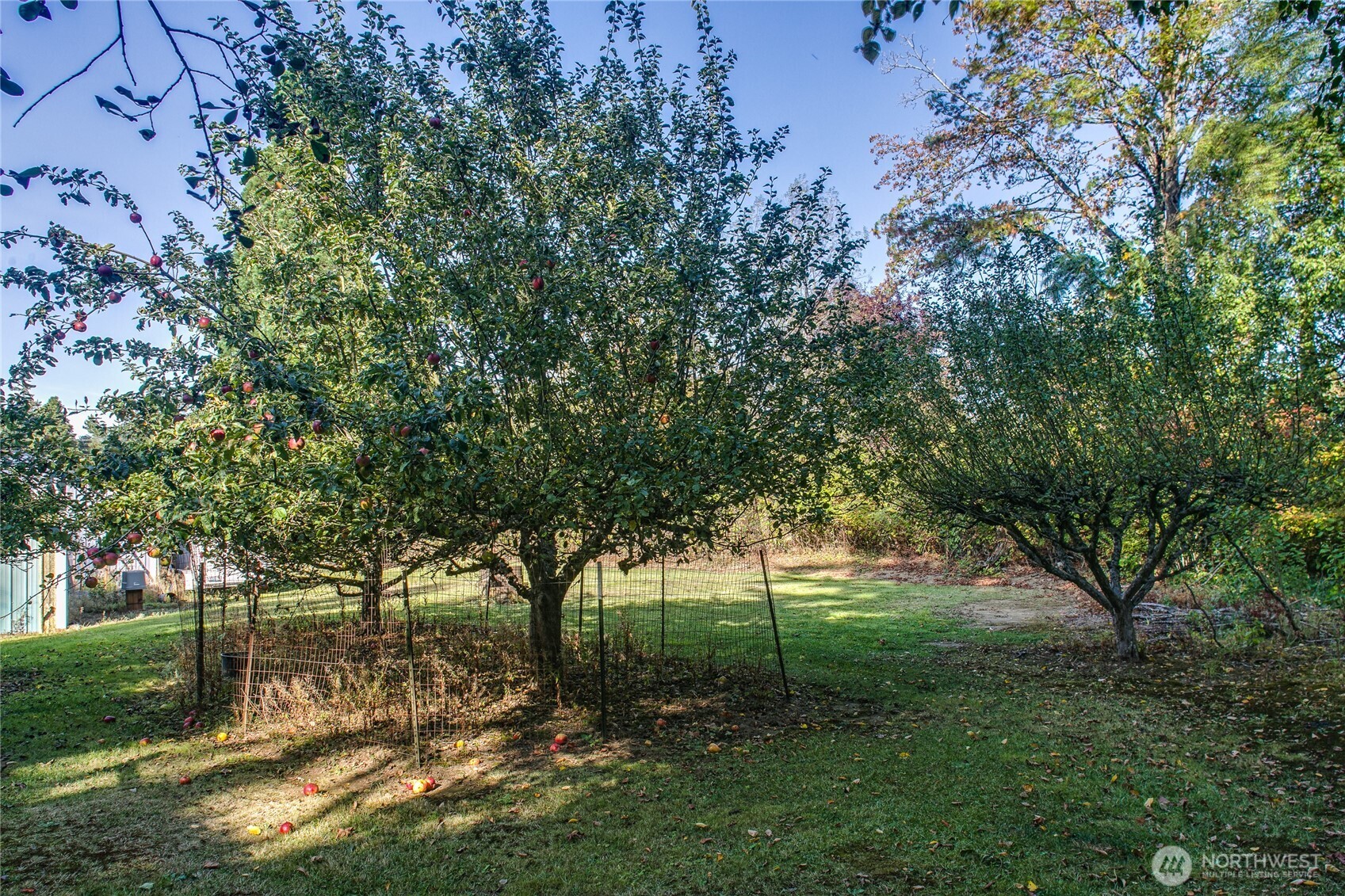 3039 Cherrywood Avenue Property Photo 21