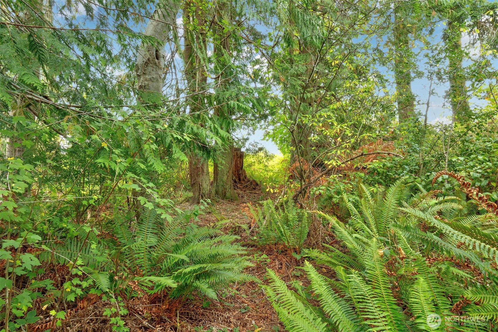 36132 Hood Canal Drive Property Photo 24