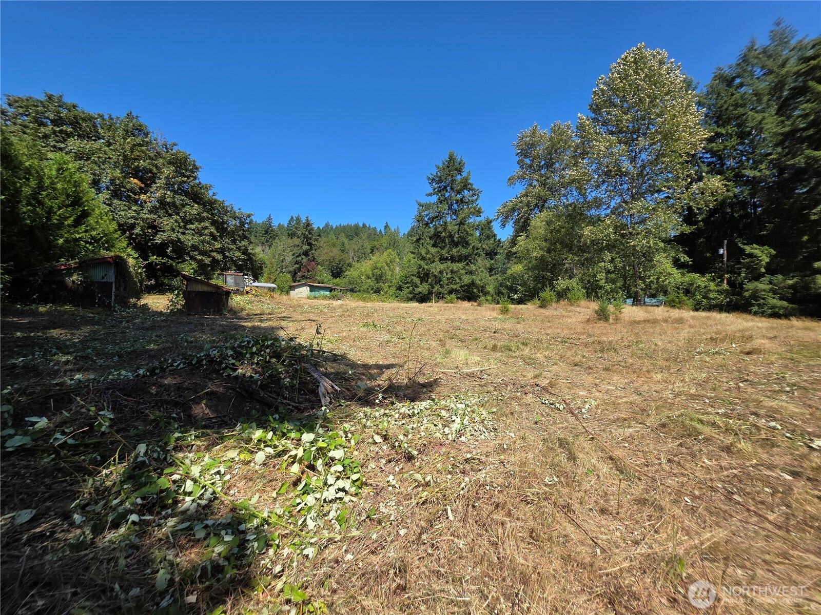 349 Xx 216th Avenue Property Photo 3