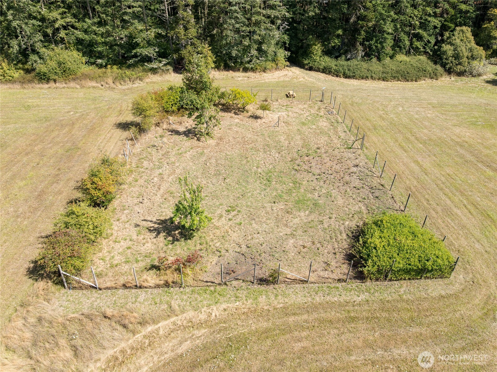 5774 Center Road Property Photo 9
