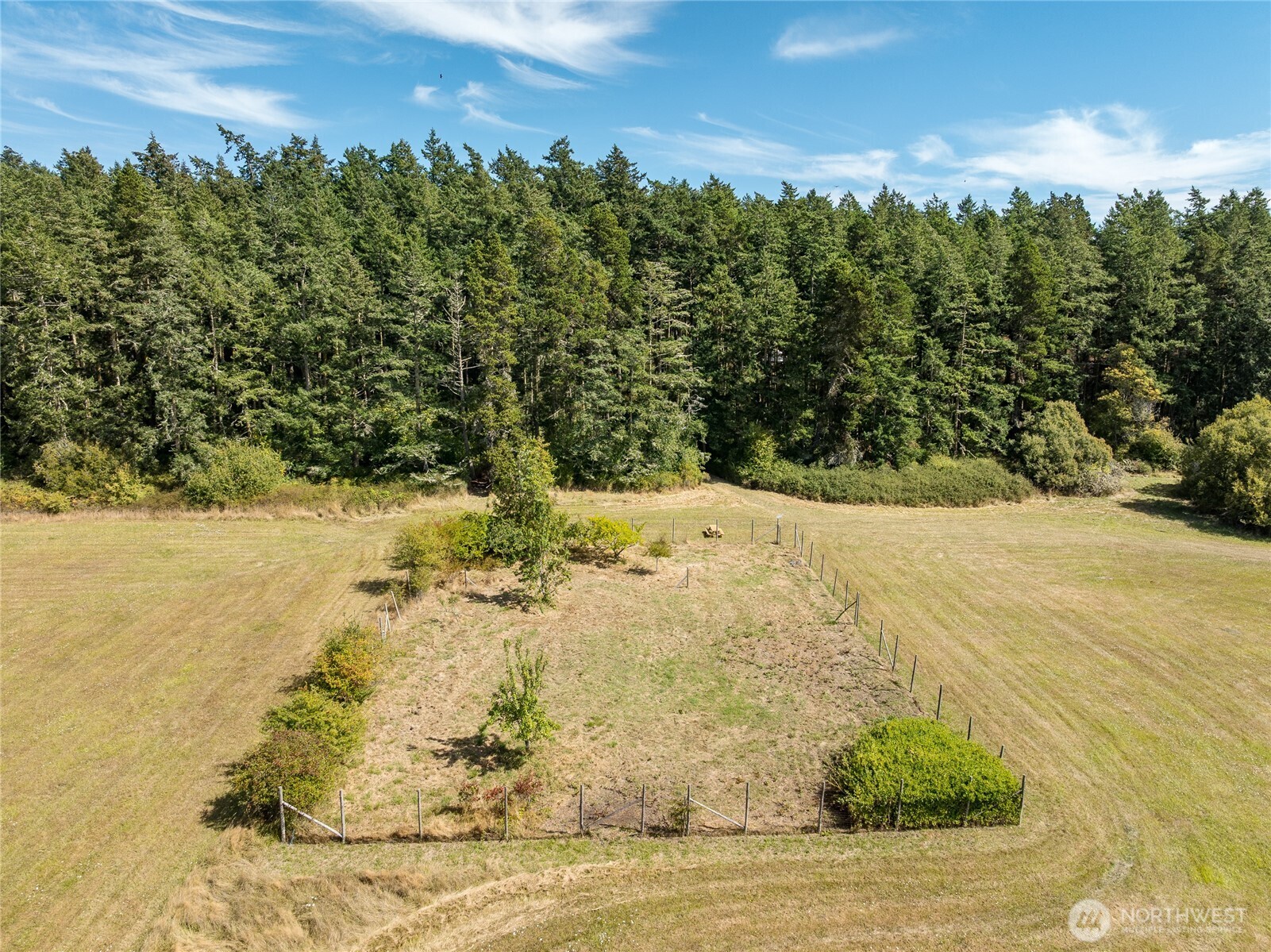 5774 Center Road Property Photo 10