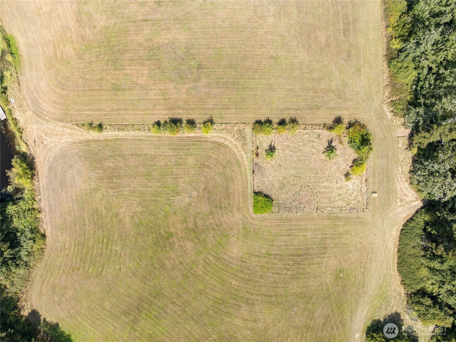 5774 Center Road Property Photo 14