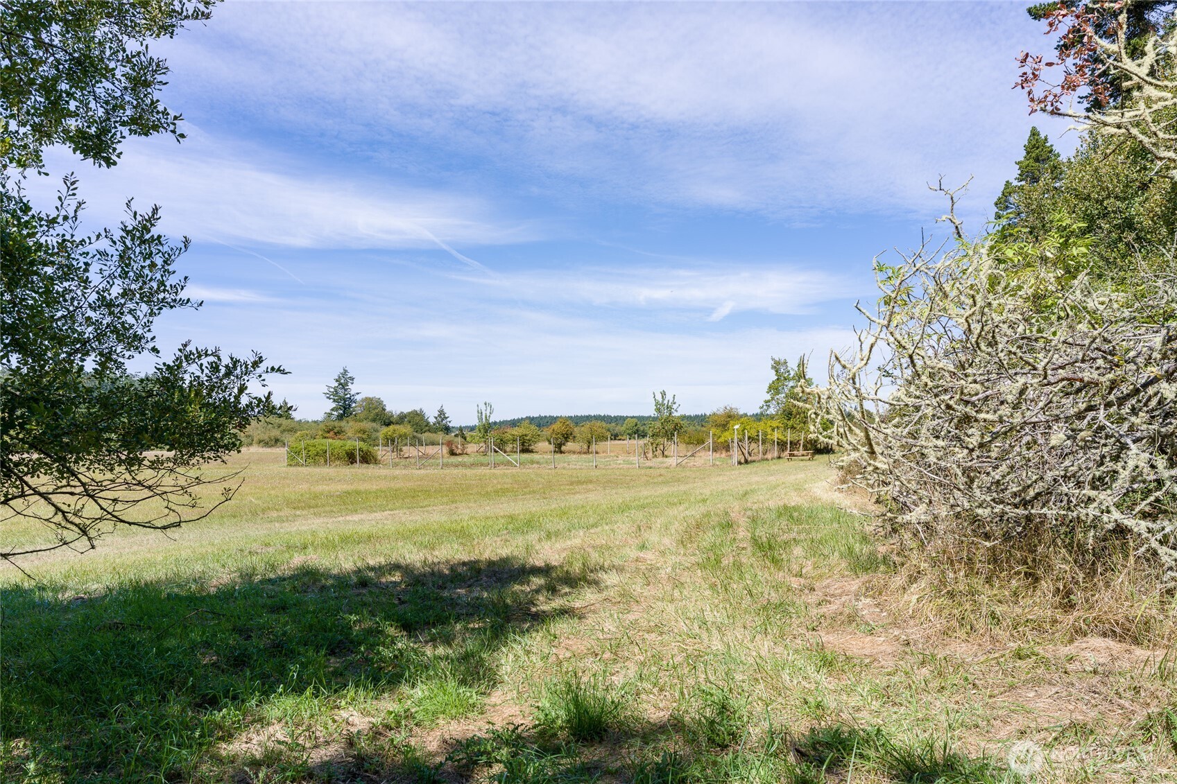 5774 Center Road Property Photo 16