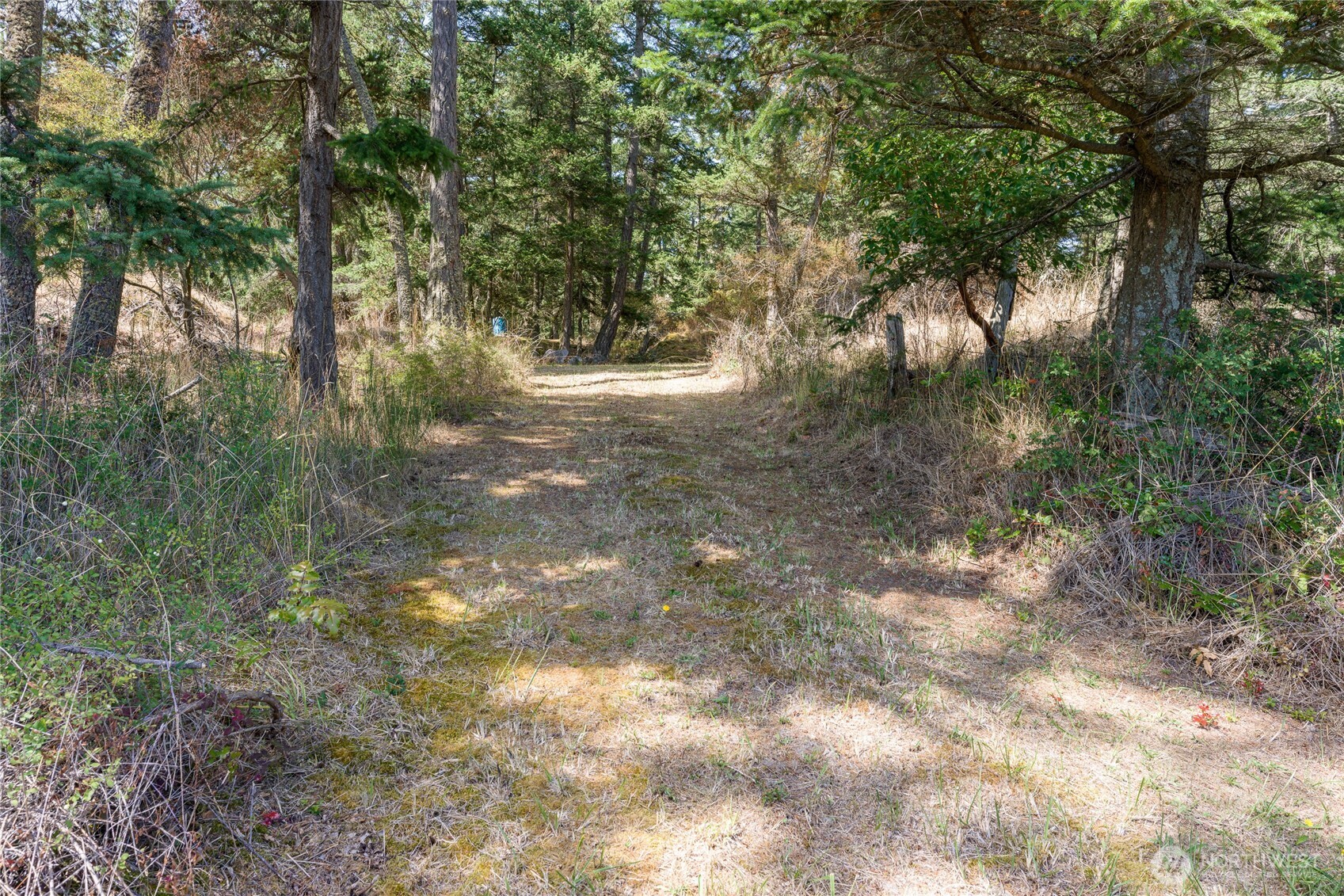 5774 Center Road Property Photo 31