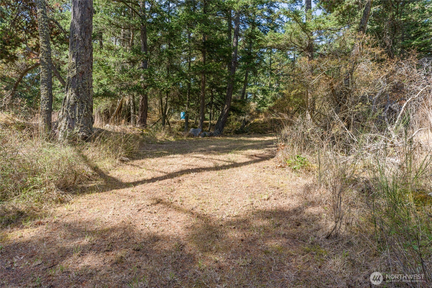 5774 Center Road Property Photo 32