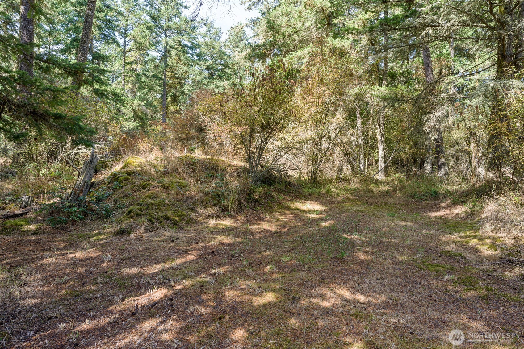 5774 Center Road Property Photo 33