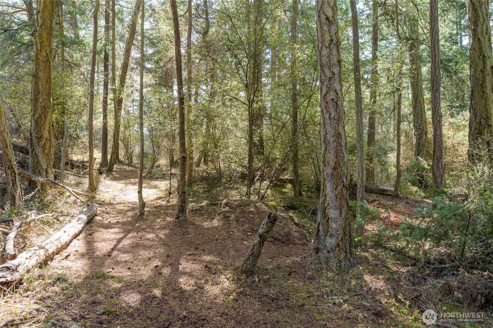 5774 Center Road Property Photo 35