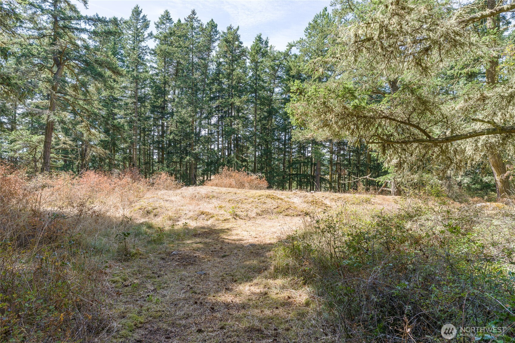 5774 Center Road Property Photo 37
