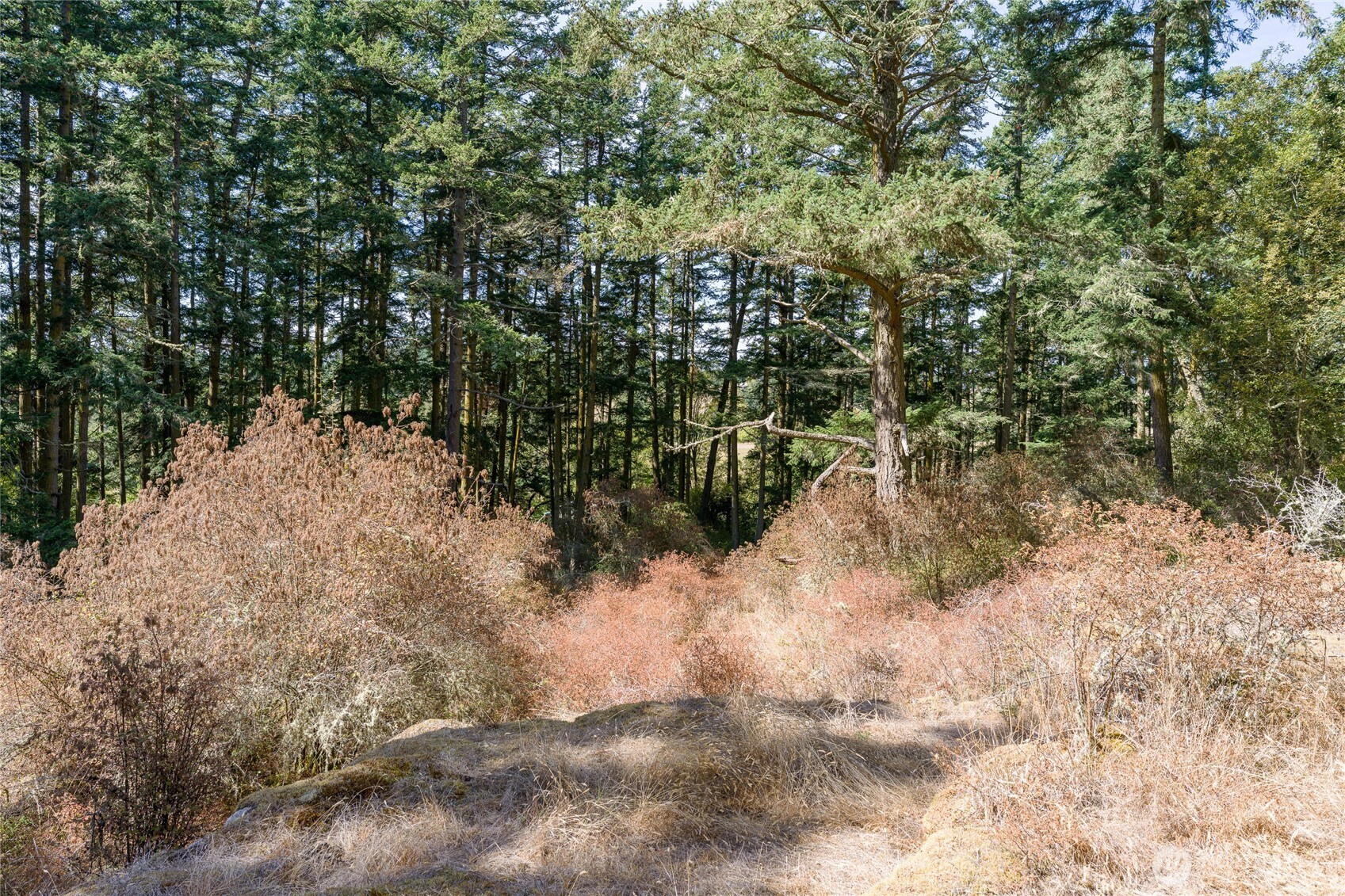 5774 Center Road Property Photo 38