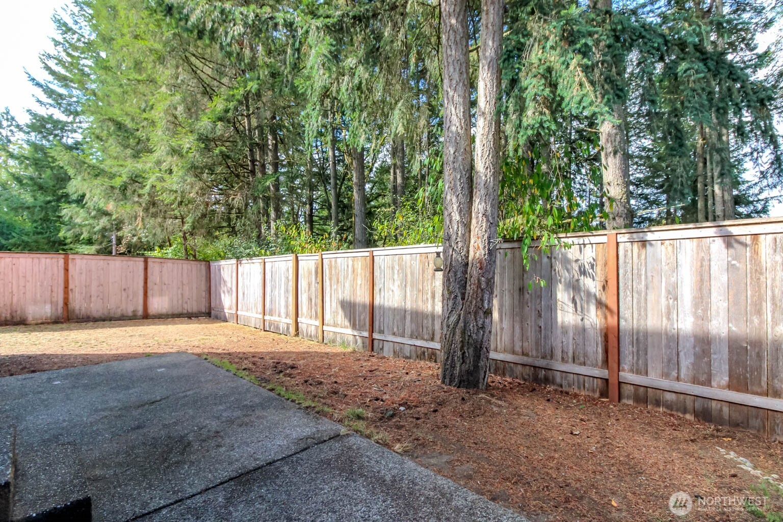 1239 Evans Court Property Photo 18