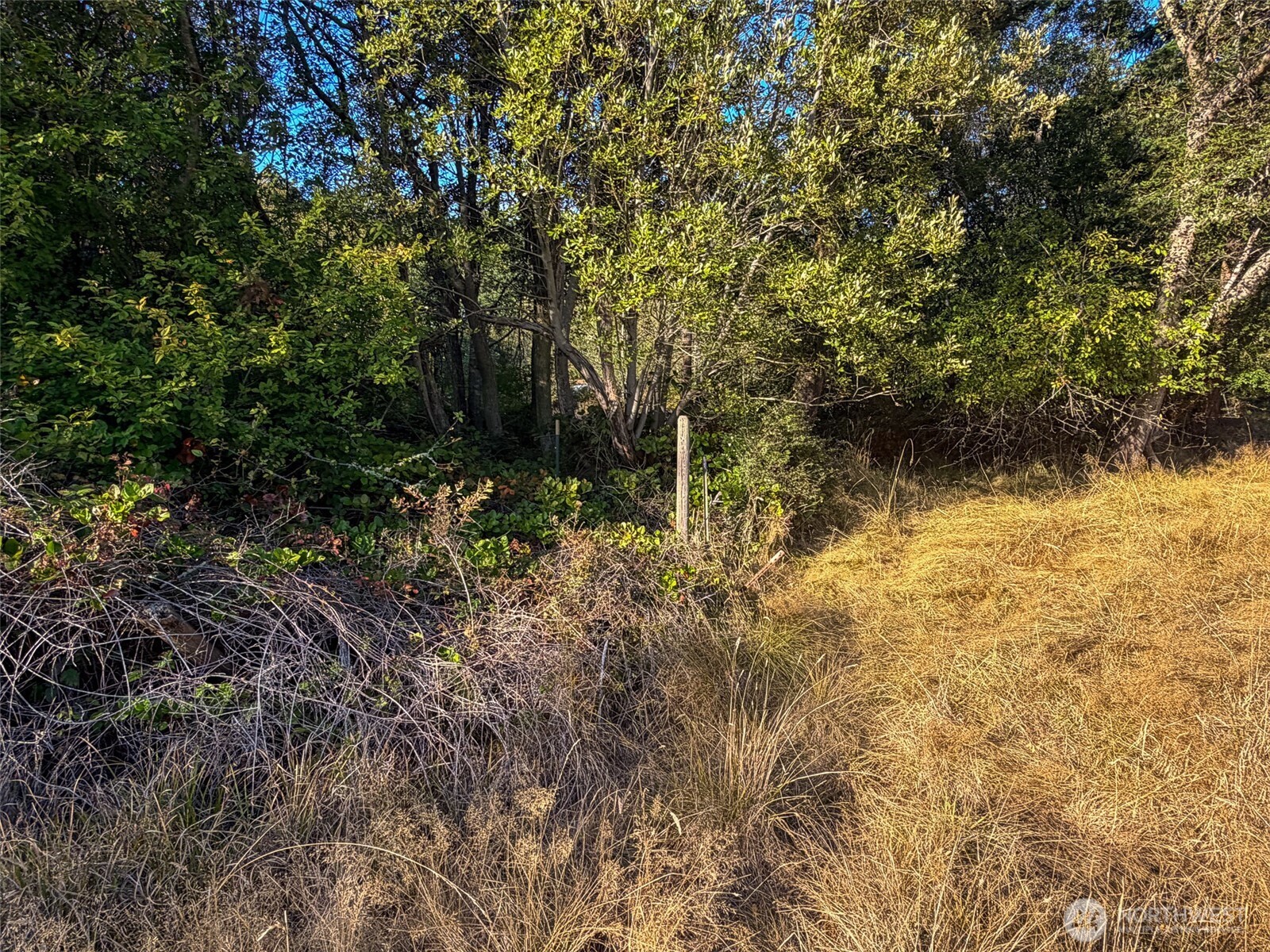 711 Xxx Schwartz Road Property Photo 7