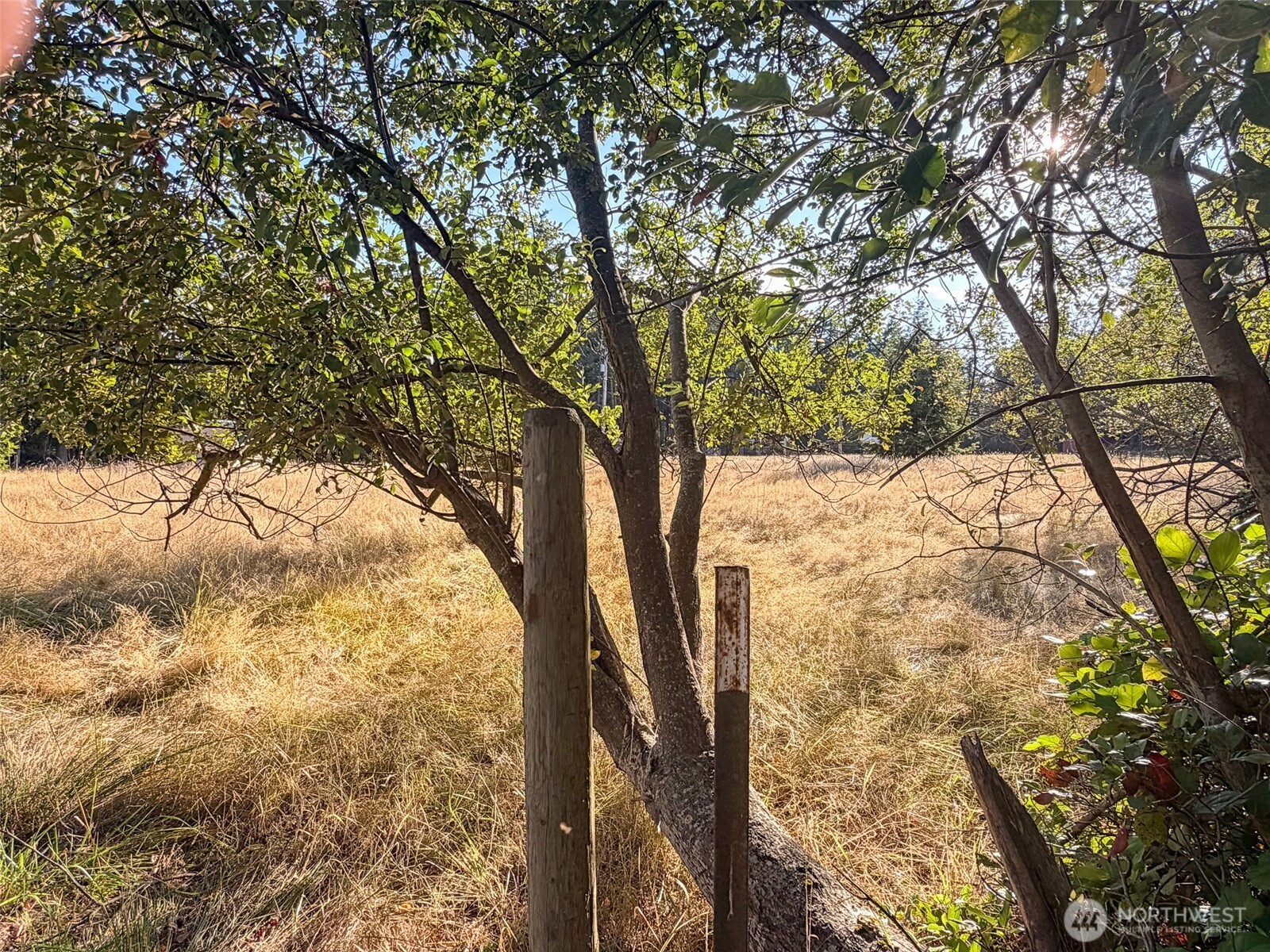 711 Xxx Schwartz Road Property Photo 9