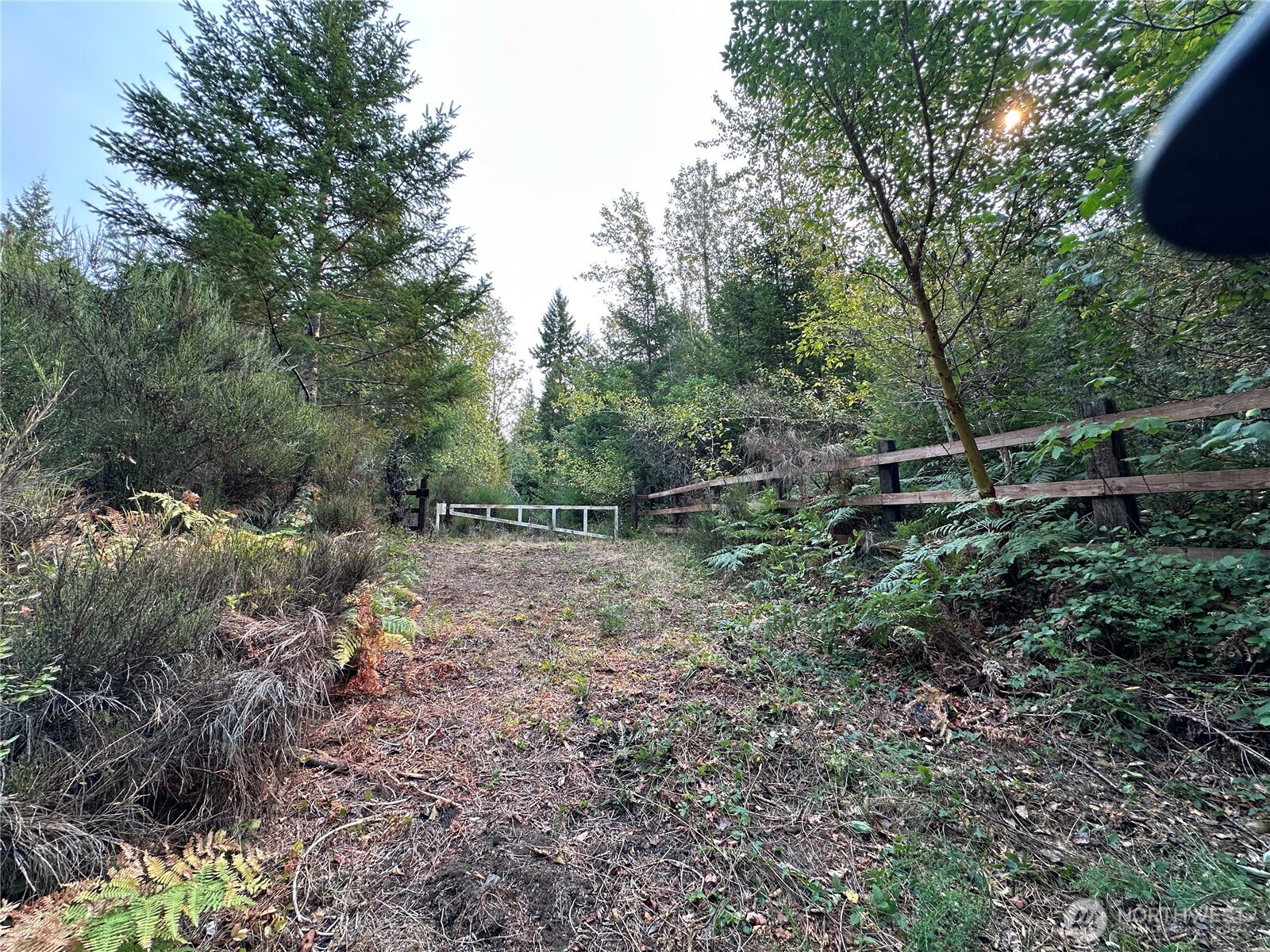 0 Ne Dewatto Holly Road Property Photo 1