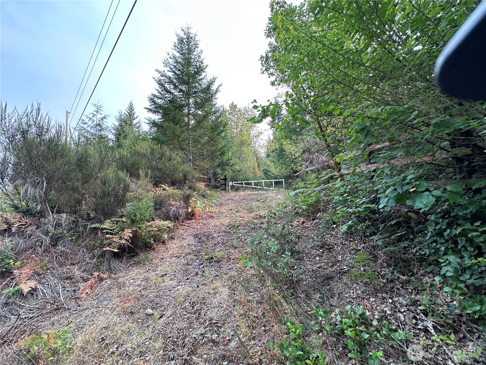 0 Ne Dewatto Holly Road Property Photo 2