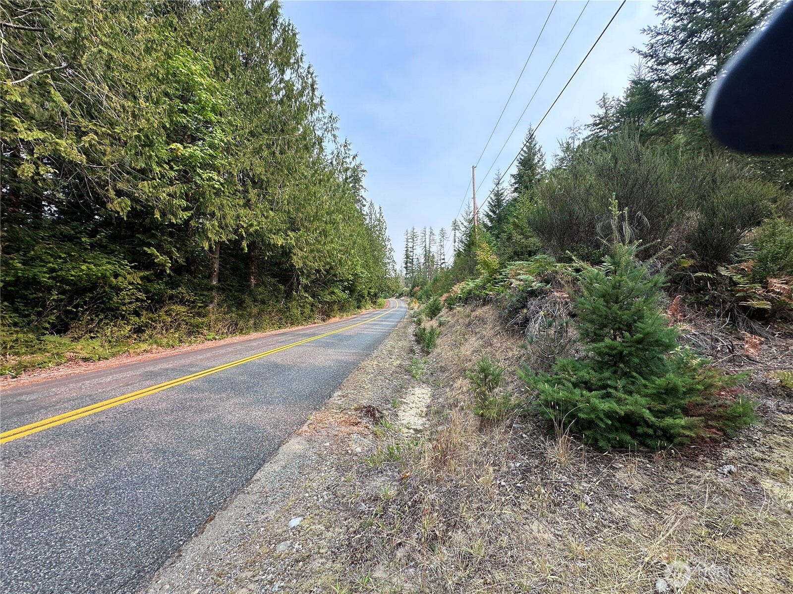 0 Ne Dewatto Holly Road Property Photo 3
