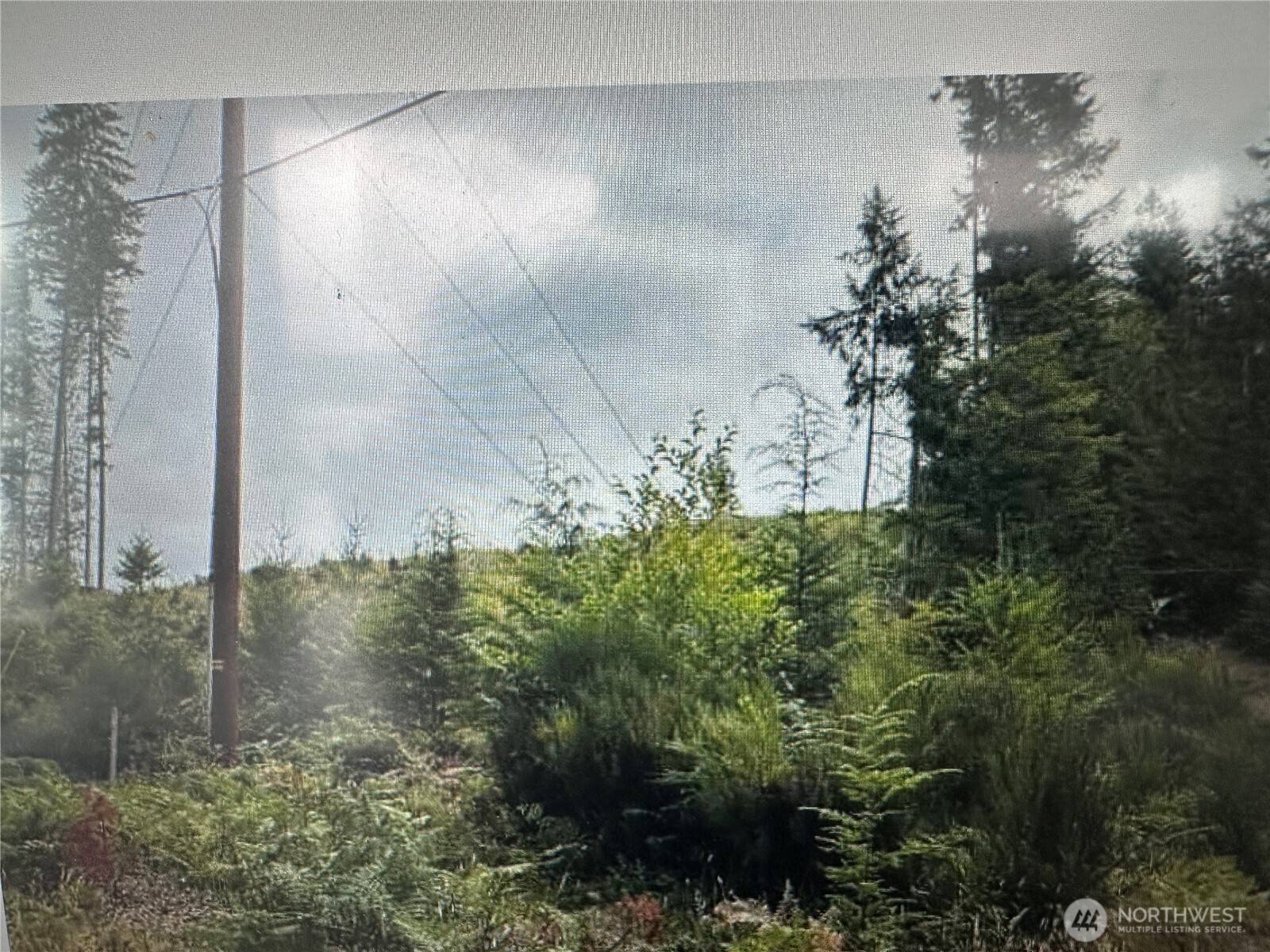 0 Ne Dewatto Holly Road Property Photo 4