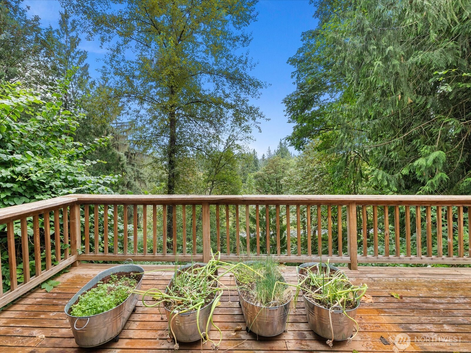17710 Chappel Road Property Photo 23