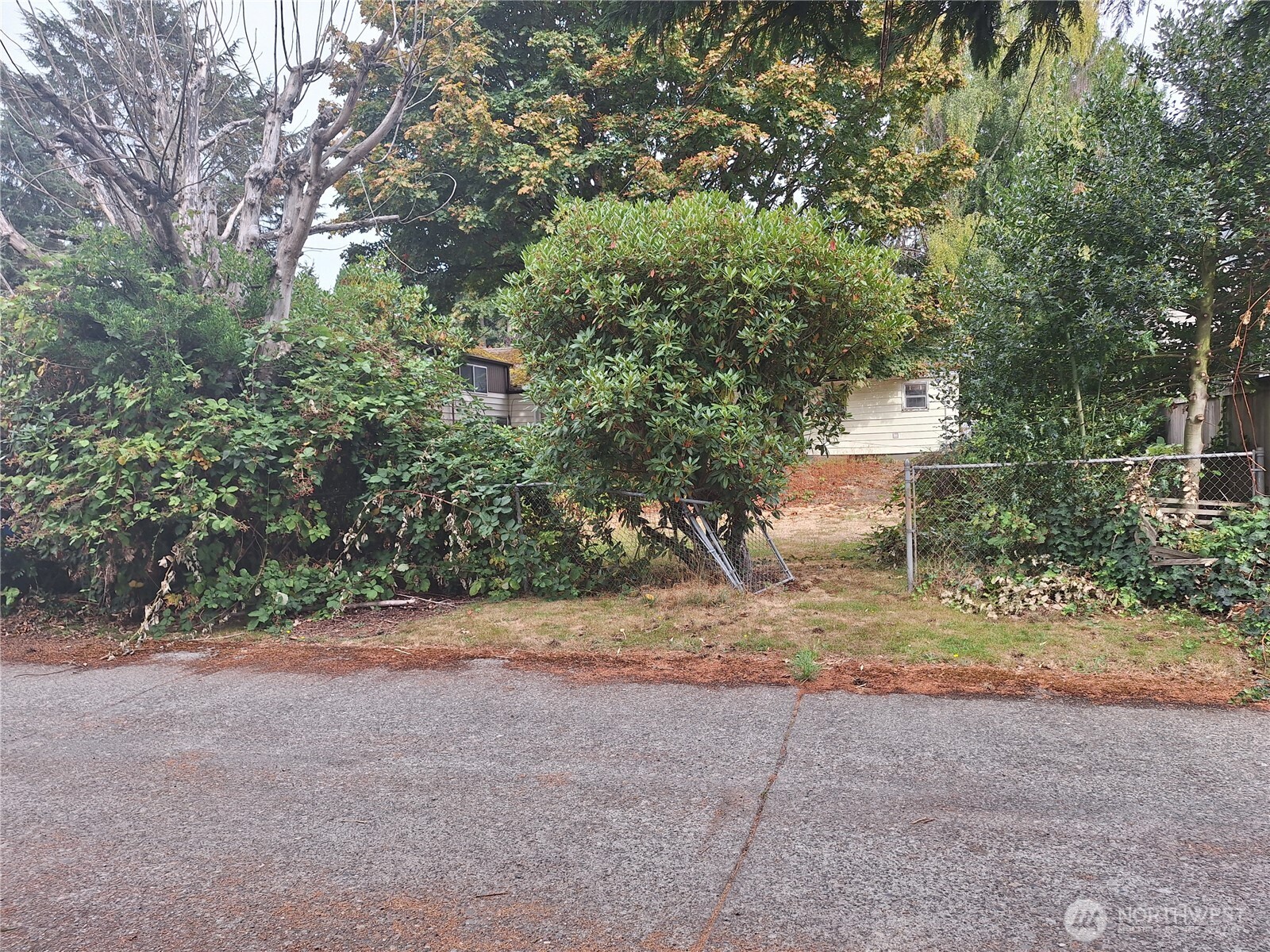 5647 38th Avenue Property Photo 10