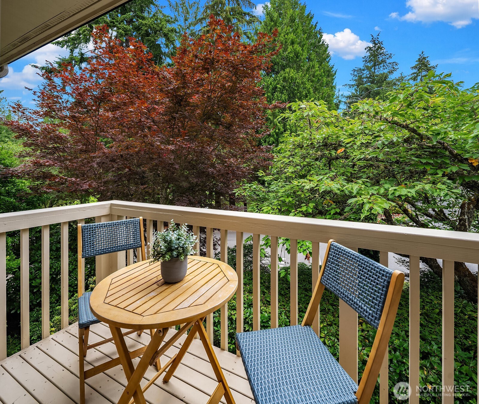 2725 Sahalee Drive Property Photo 18