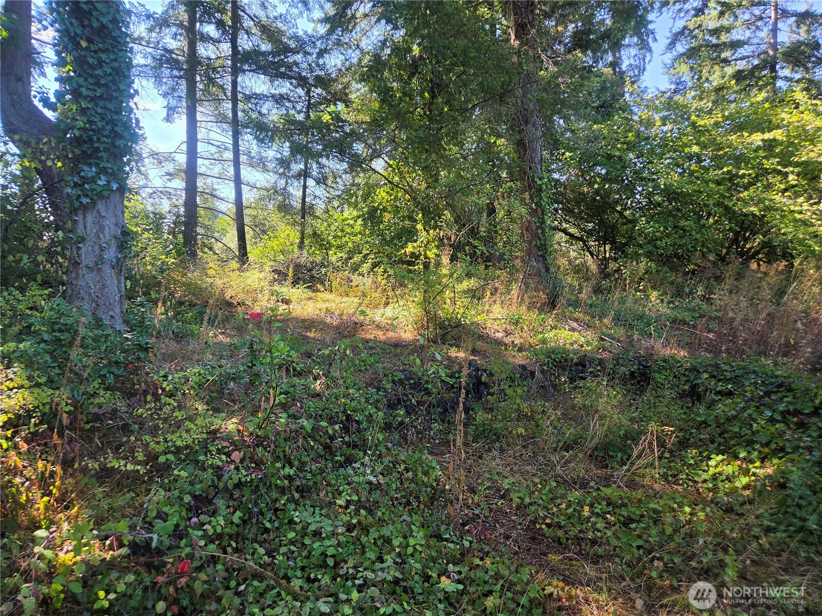 15120 30th Avenue Ct Property Photo 4