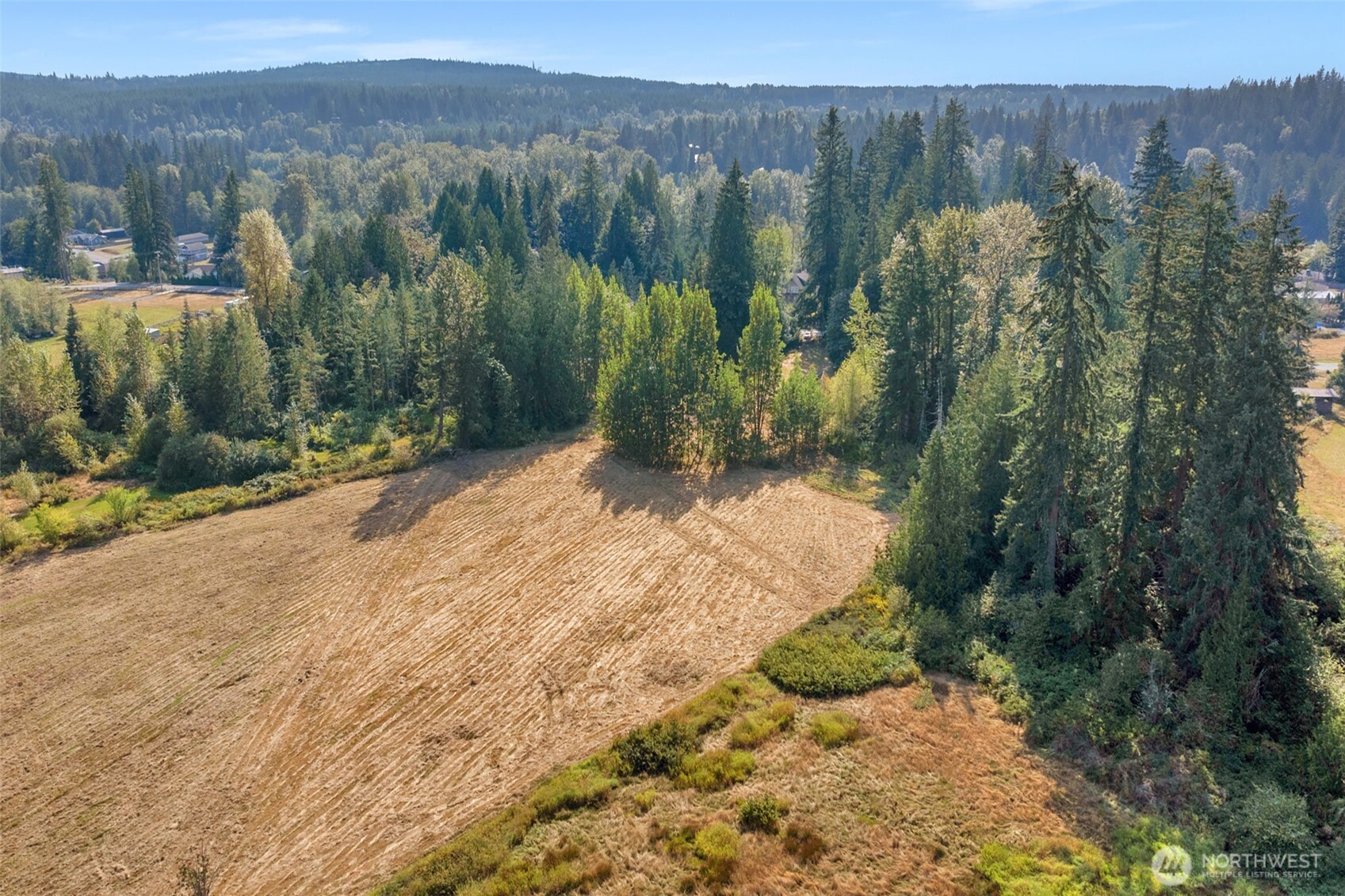 8707 Robe Menzel Road Property Photo 6