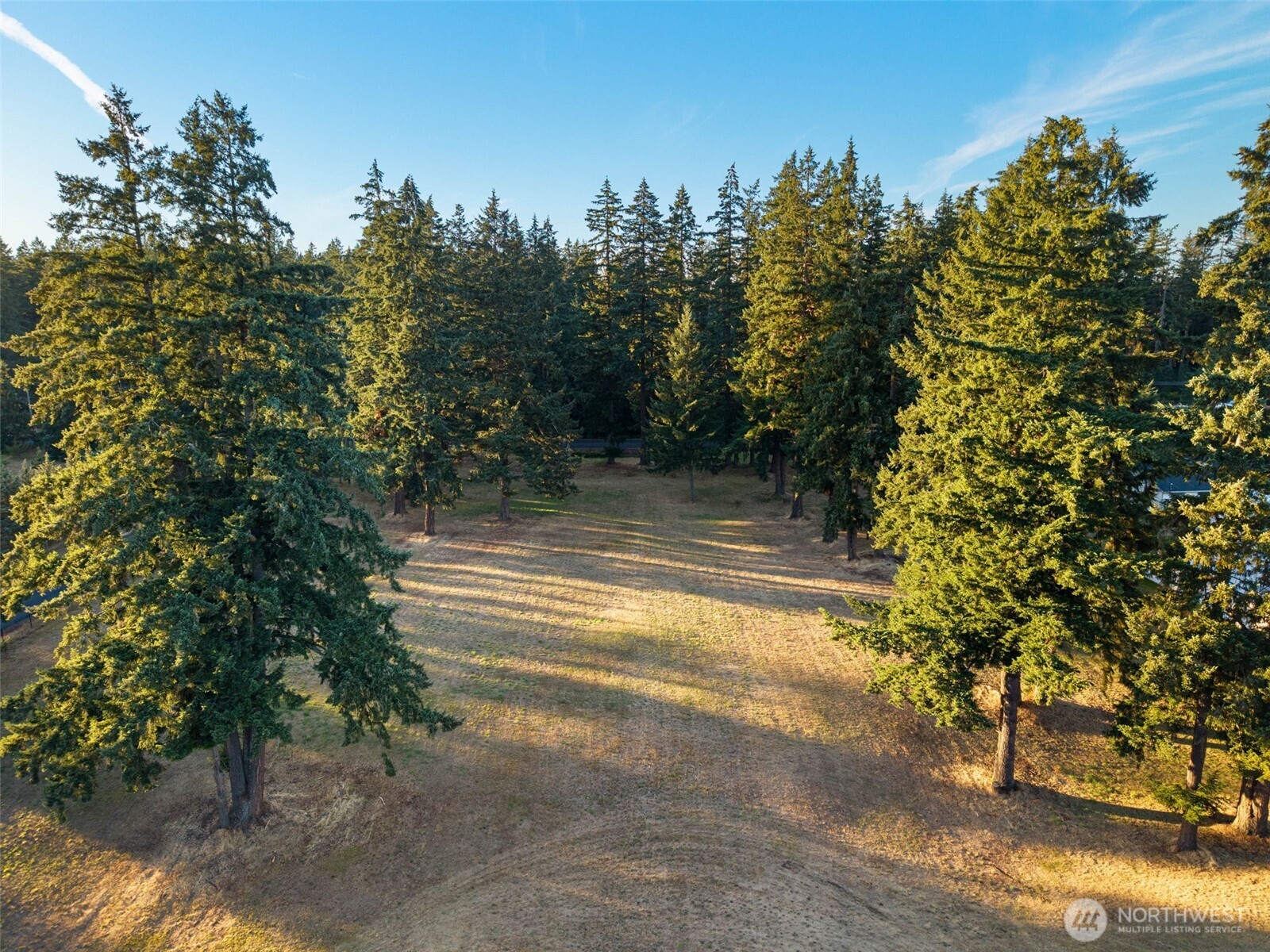 26117 34th Avenue Property Photo 40