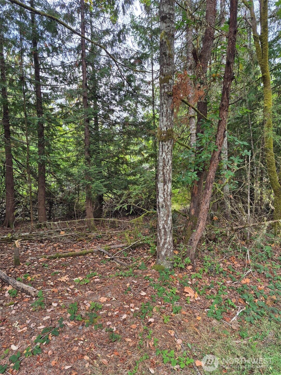 2340 Westwind Drive Property Photo 3