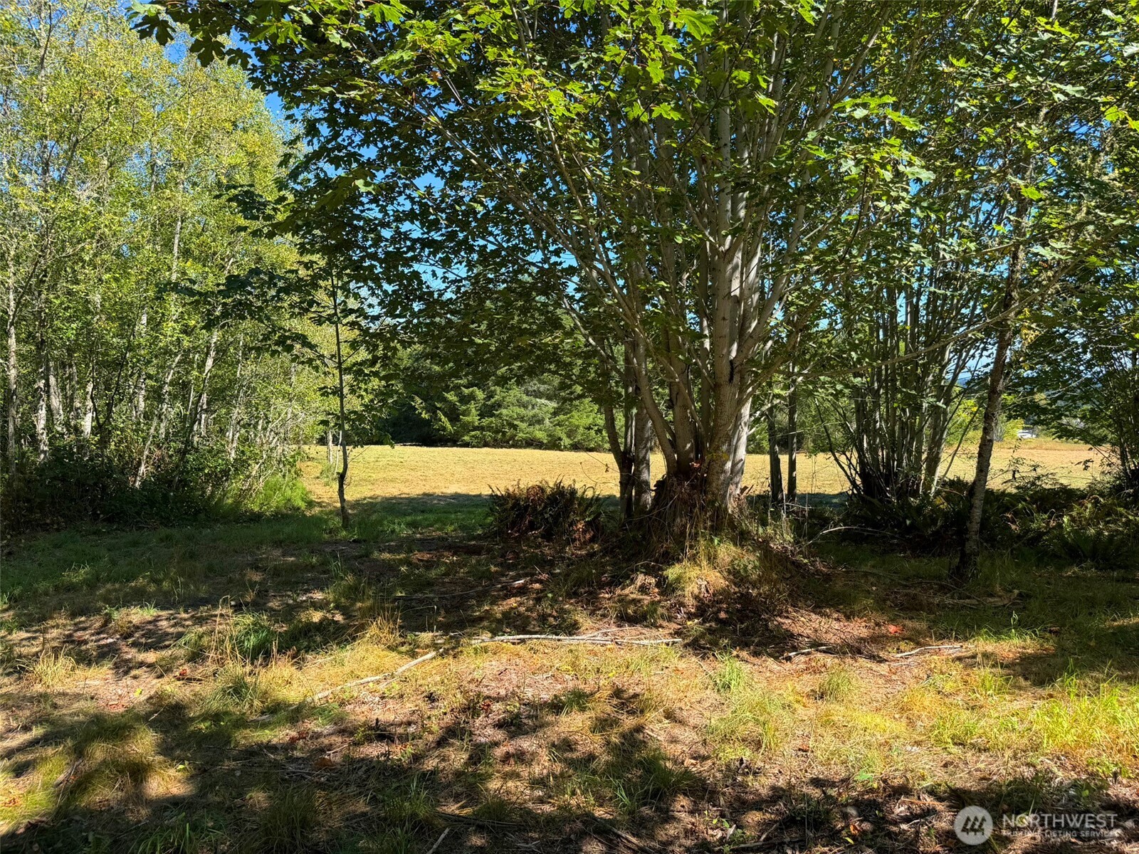 404 Black Bear Trail Property Photo 7