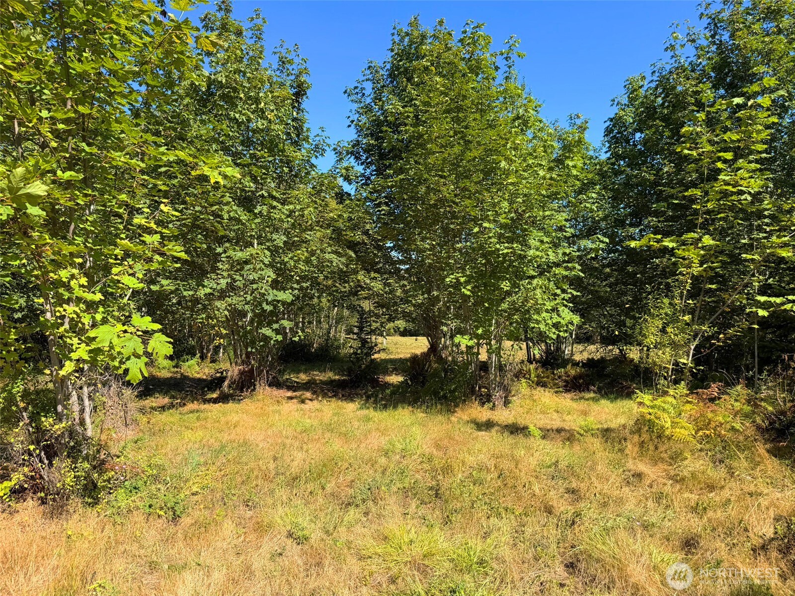 404 Black Bear Trail Property Photo 8