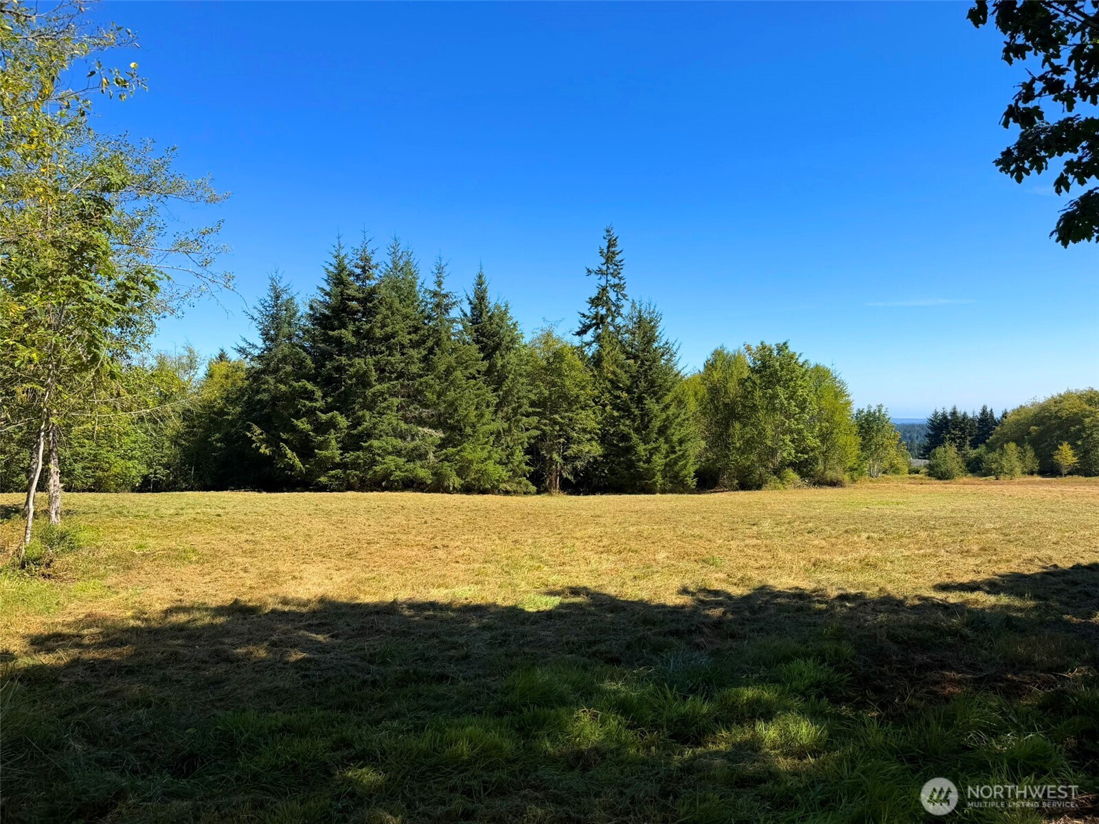 404 Black Bear Trail Property Photo 9