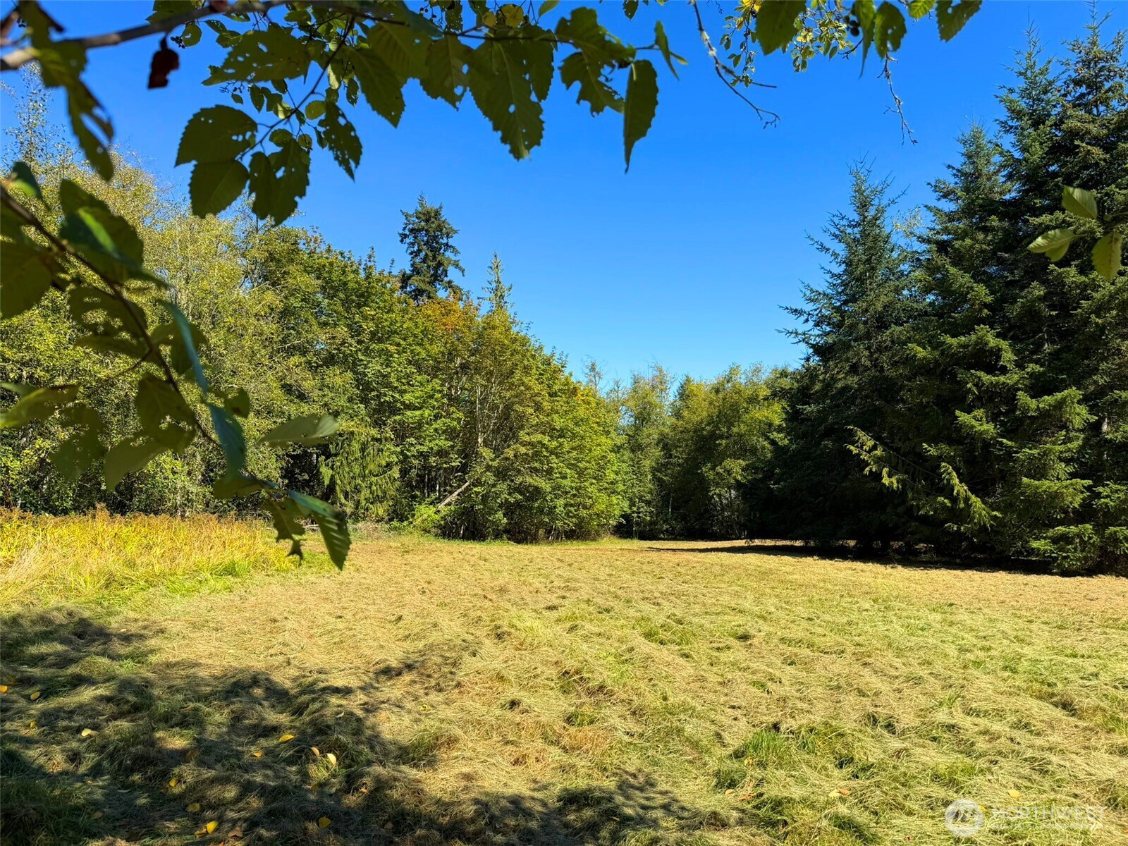 404 Black Bear Trail Property Photo 10