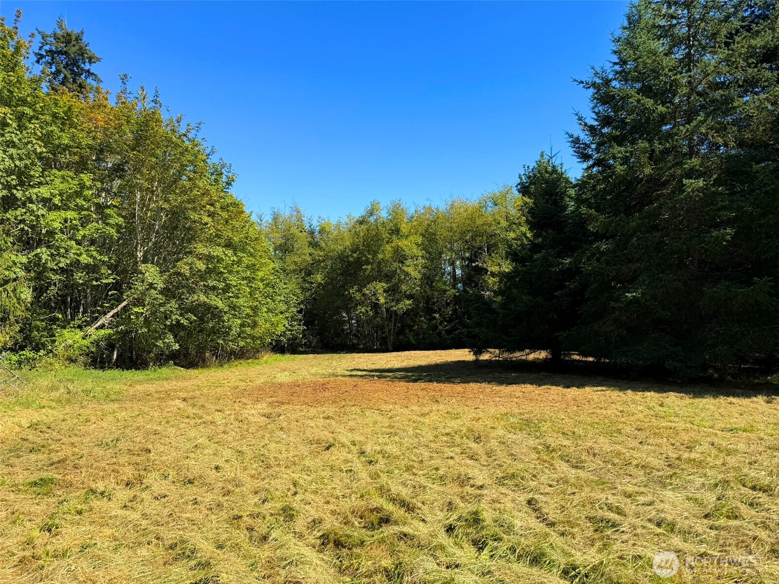 404 Black Bear Trail Property Photo 11
