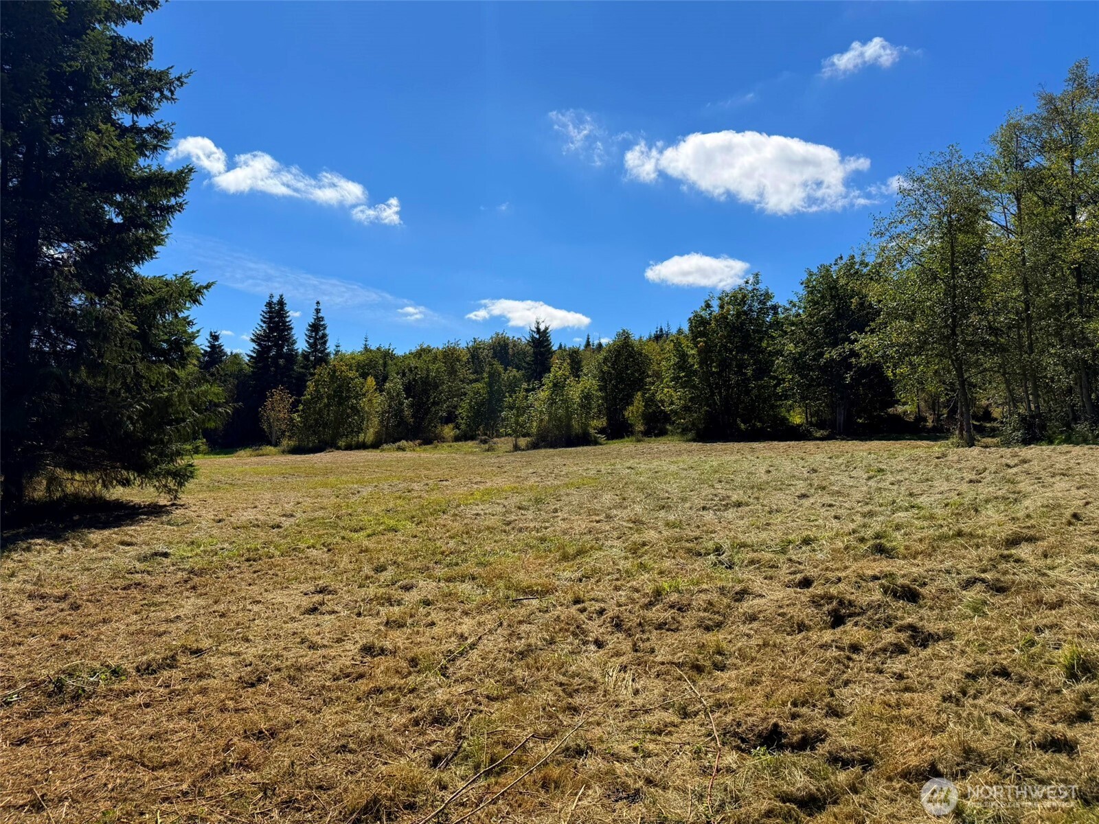 404 Black Bear Trail Property Photo 13