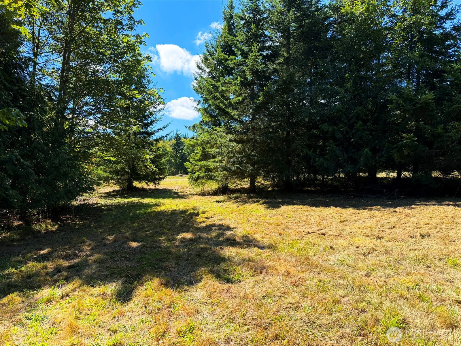 404 Black Bear Trail Property Photo 14