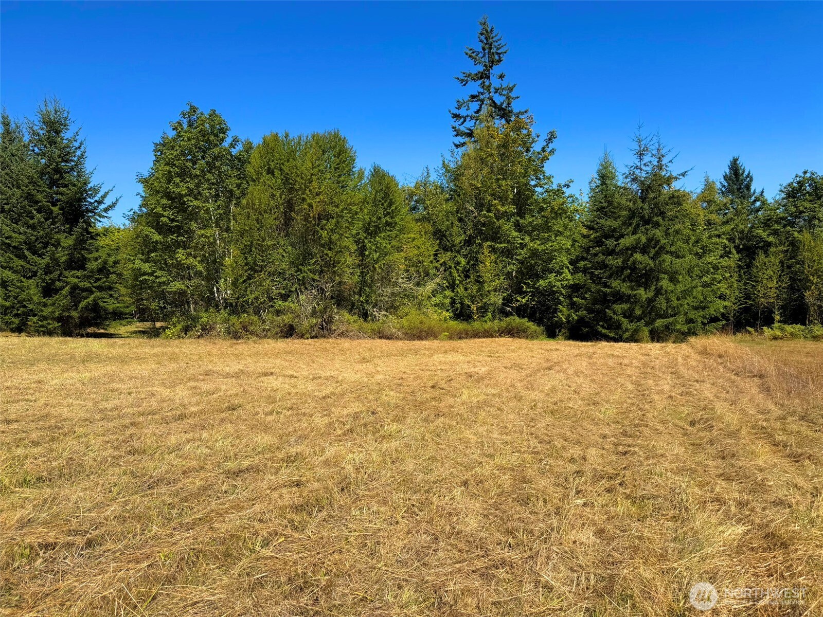 404 Black Bear Trail Property Photo 15