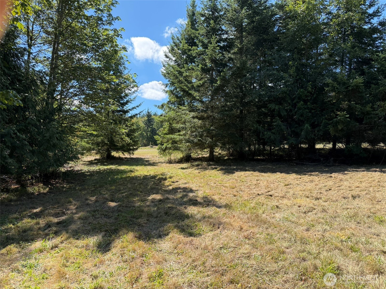 404 Black Bear Trail Property Photo 16