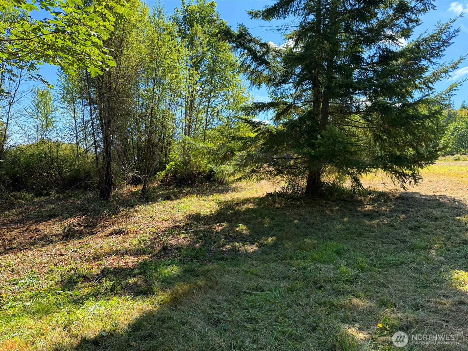 404 Black Bear Trail Property Photo 17