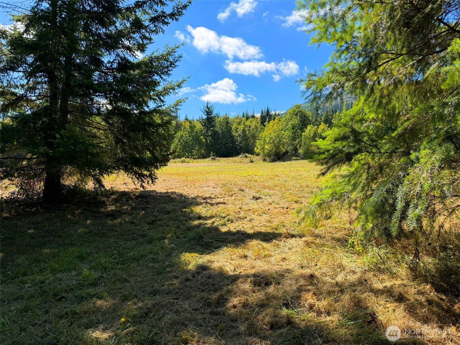 404 Black Bear Trail Property Photo 18