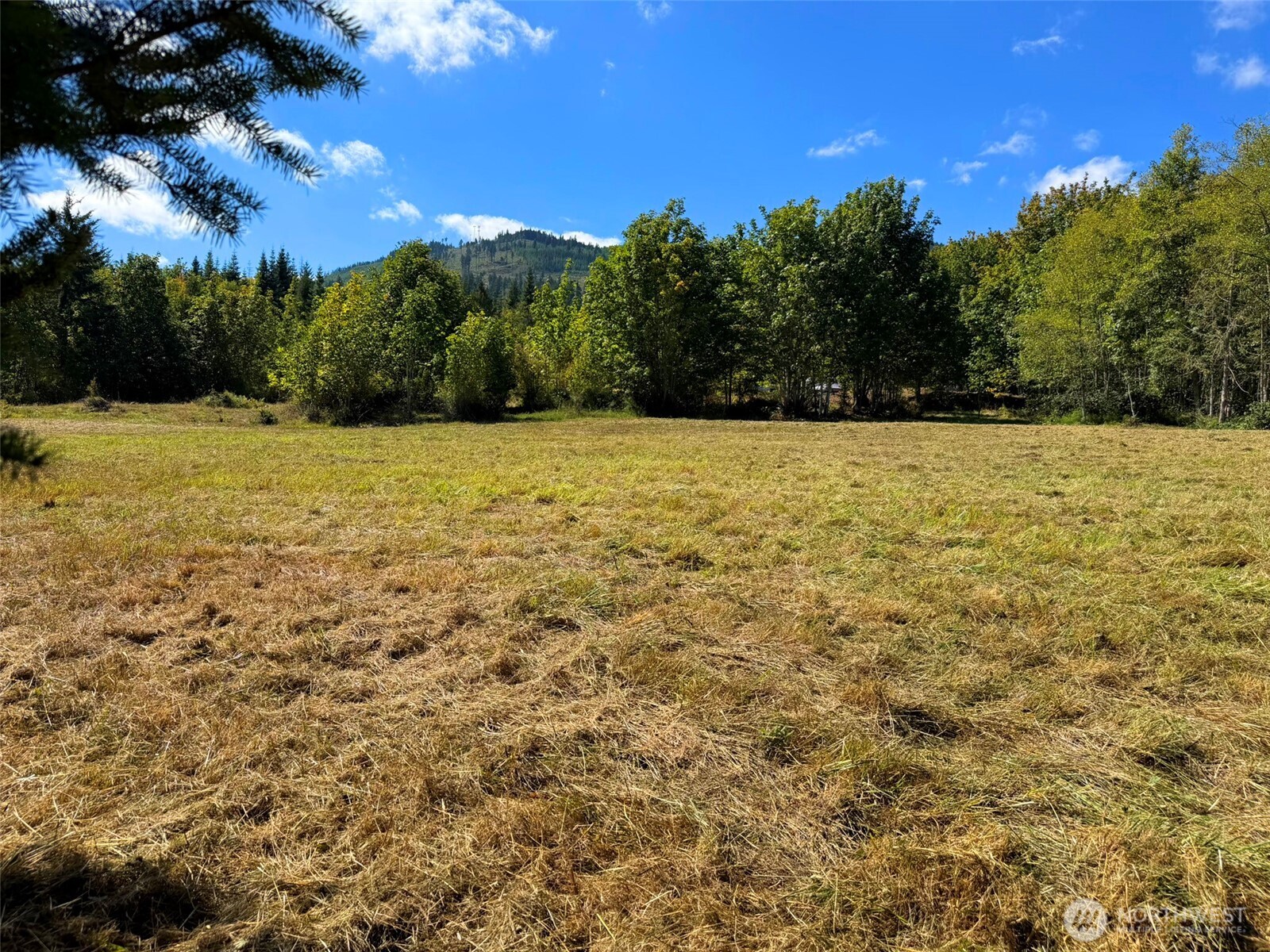 404 Black Bear Trail Property Photo 19