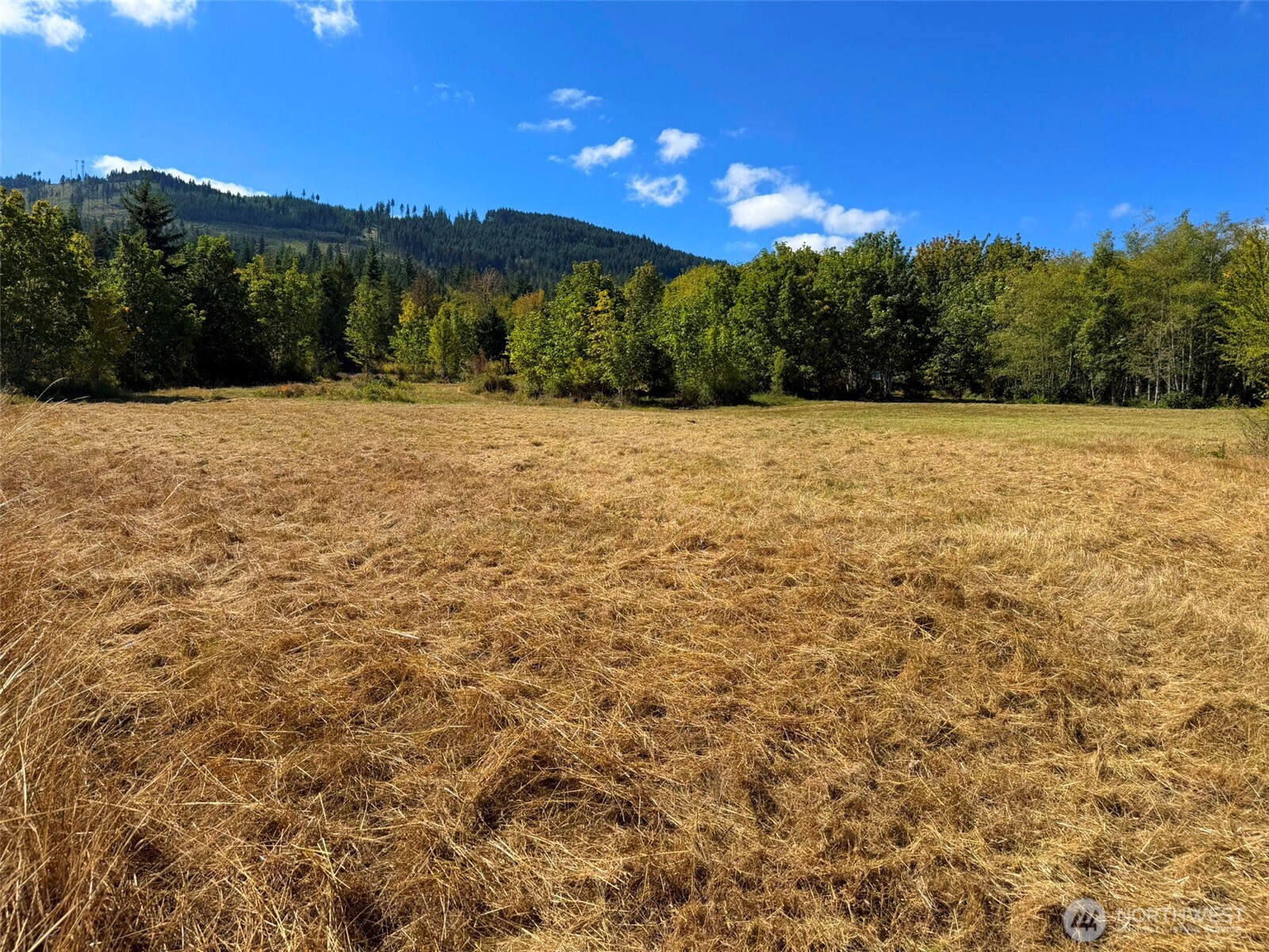 404 Black Bear Trail Property Photo 20