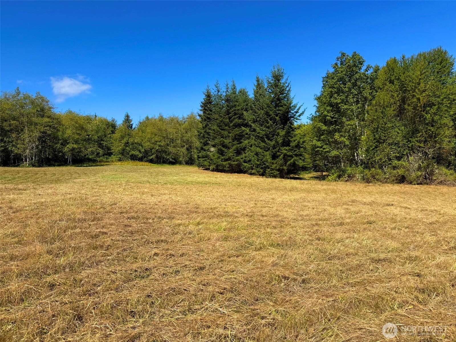 404 Black Bear Trail Property Photo 21