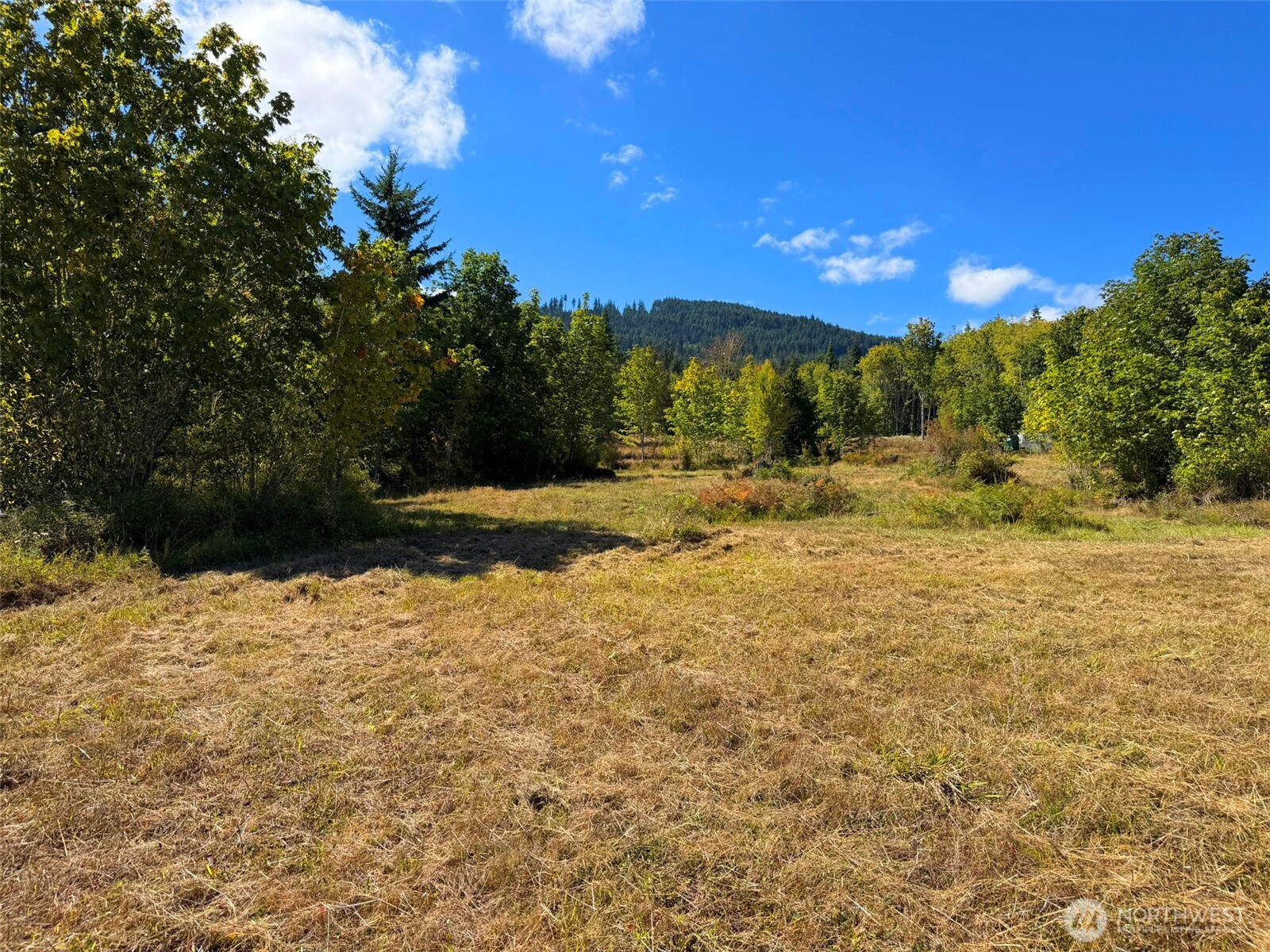 404 Black Bear Trail Property Photo 22