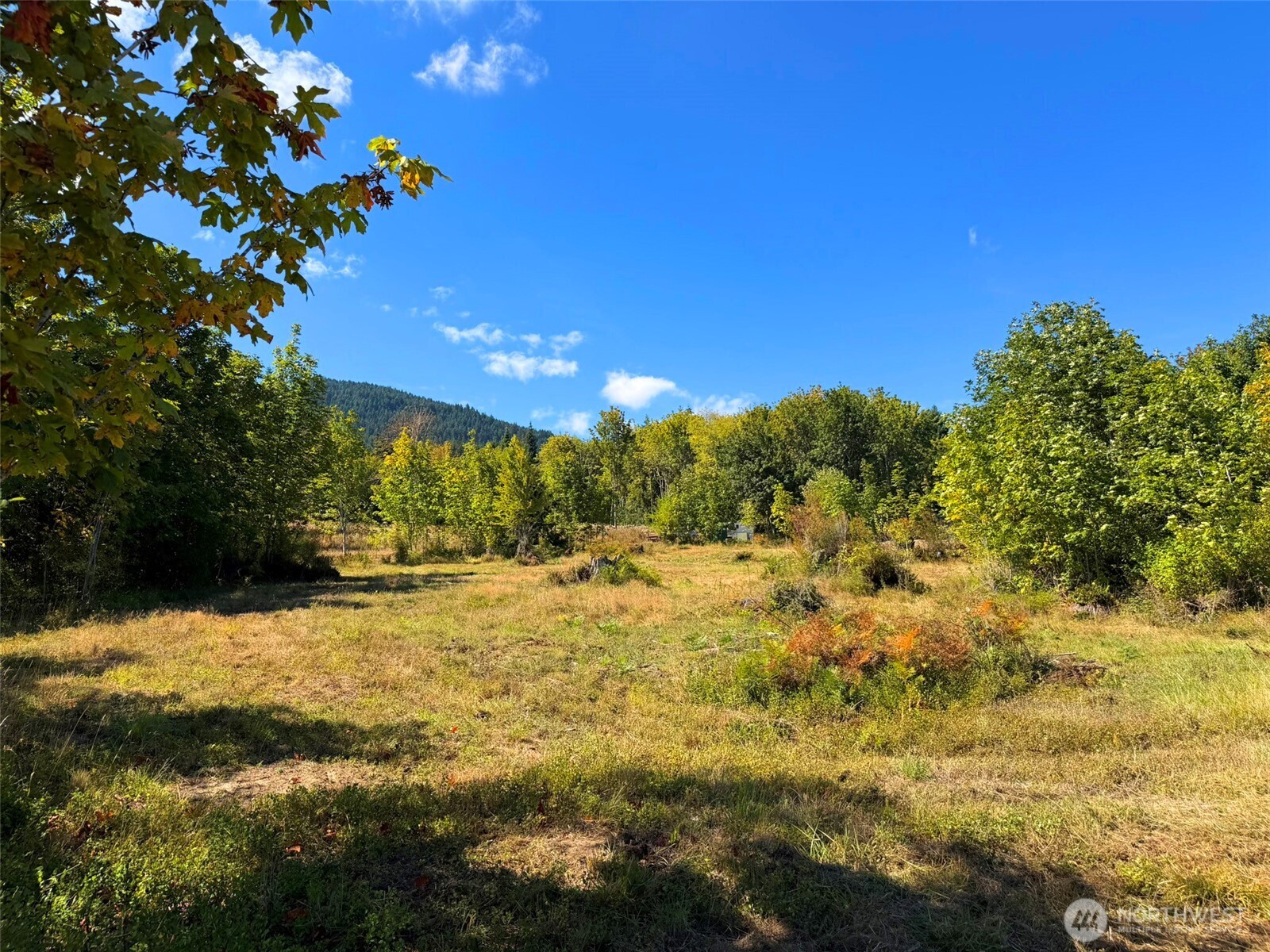 404 Black Bear Trail Property Photo 23
