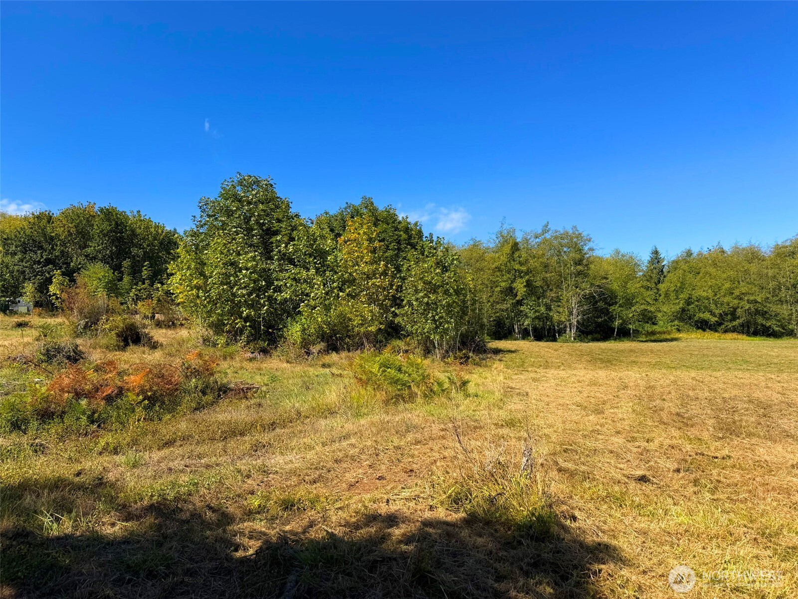 404 Black Bear Trail Property Photo 24