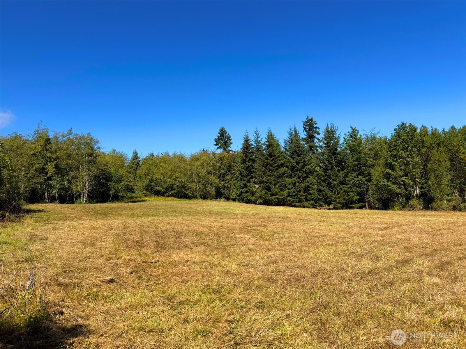 404 Black Bear Trail Property Photo 25
